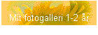 Mit fotogalleri 1-2 r