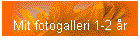 Mit fotogalleri 1-2 r